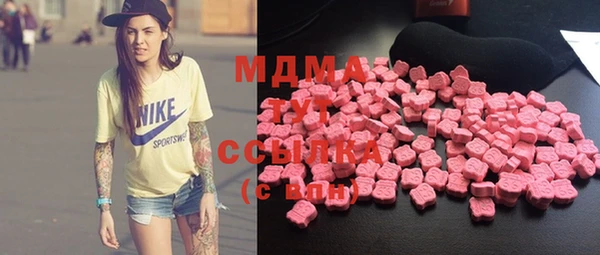 индика Мегион
