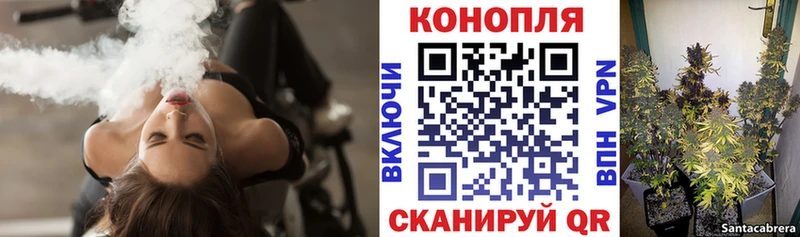 Купить закладки  Знаменск  МАРИХУАНА VHQ 